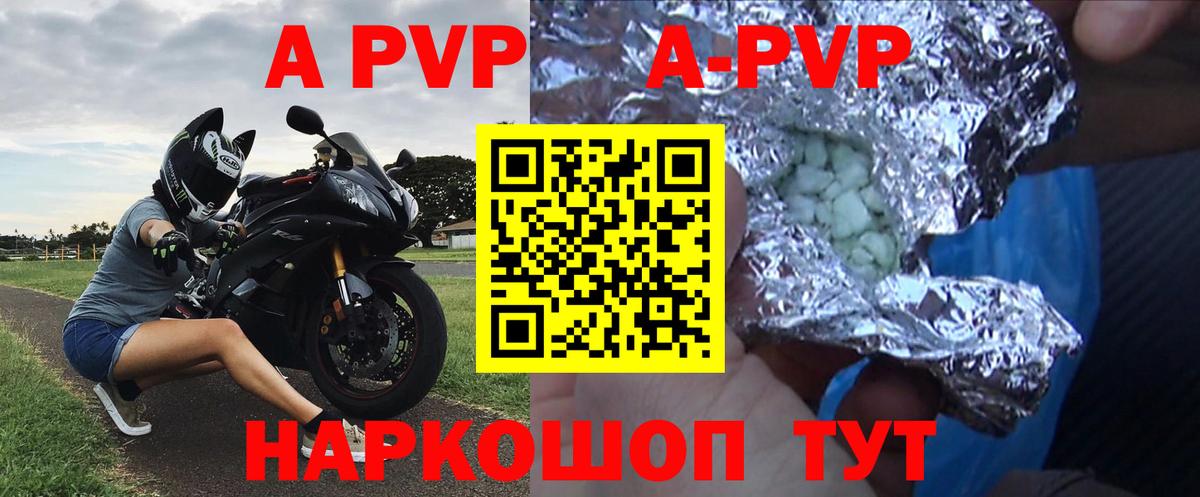 Alfa_PVP СК Коряжма